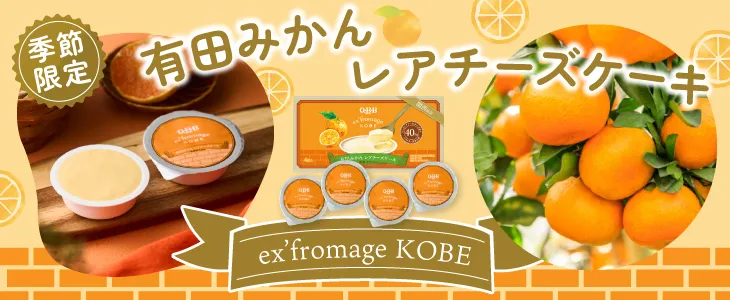 有田みかんレアチーズケーキ