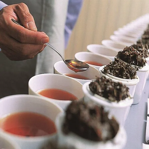 リヴァイ 誕生日 アールグレイ ティーバッグ　カード付　新品未開封　紅茶　5点 リヴァイ 誕生日 アールグレイ ティーバッグ カード付 新品未開封 紅茶