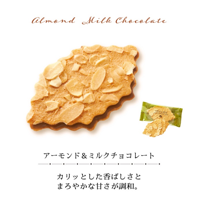モロゾフ Morozoff ファヤージュ 6枚入 クッキー 洋菓子 通販 人気 賞味期限 個包装 缶入り プレゼント 神戸土産 スイーツ おすすめ  おしゃれ ショコラ スイーツ 贈り物 誕生日 母の日 父の日 クリスマス 製菓 洋菓子