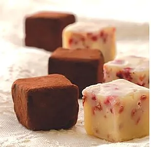 シルスビター20枚入