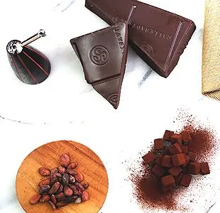 シルスビター20枚入