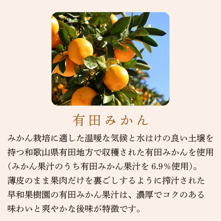 有田みかんレレアチーズケーキ4個入